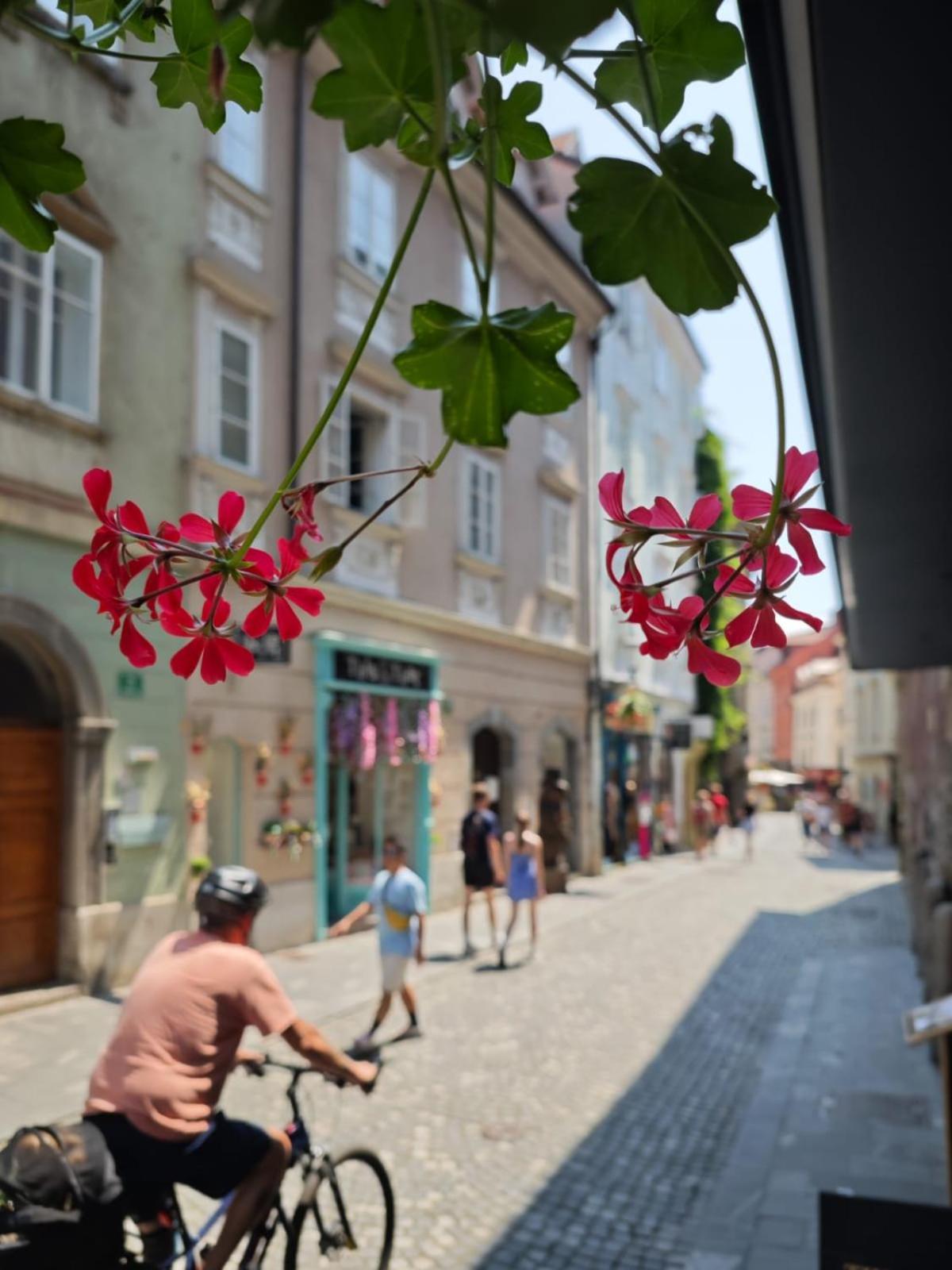 Mondo Diverso Ljubljana Exterior photo